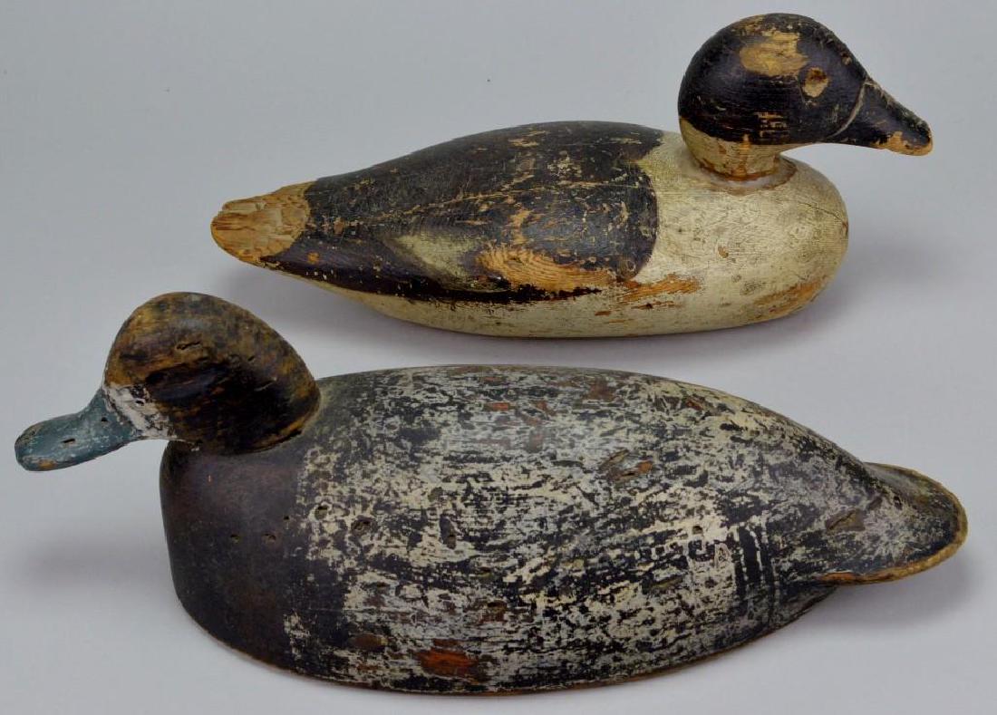 Decoy Grouping: Bluebill, unknown maker, missing eyes. 5"h x 14.75"w and Golden eye, attributed to Mason, head has been repaired with adhesive, 5.75"h x 13"w