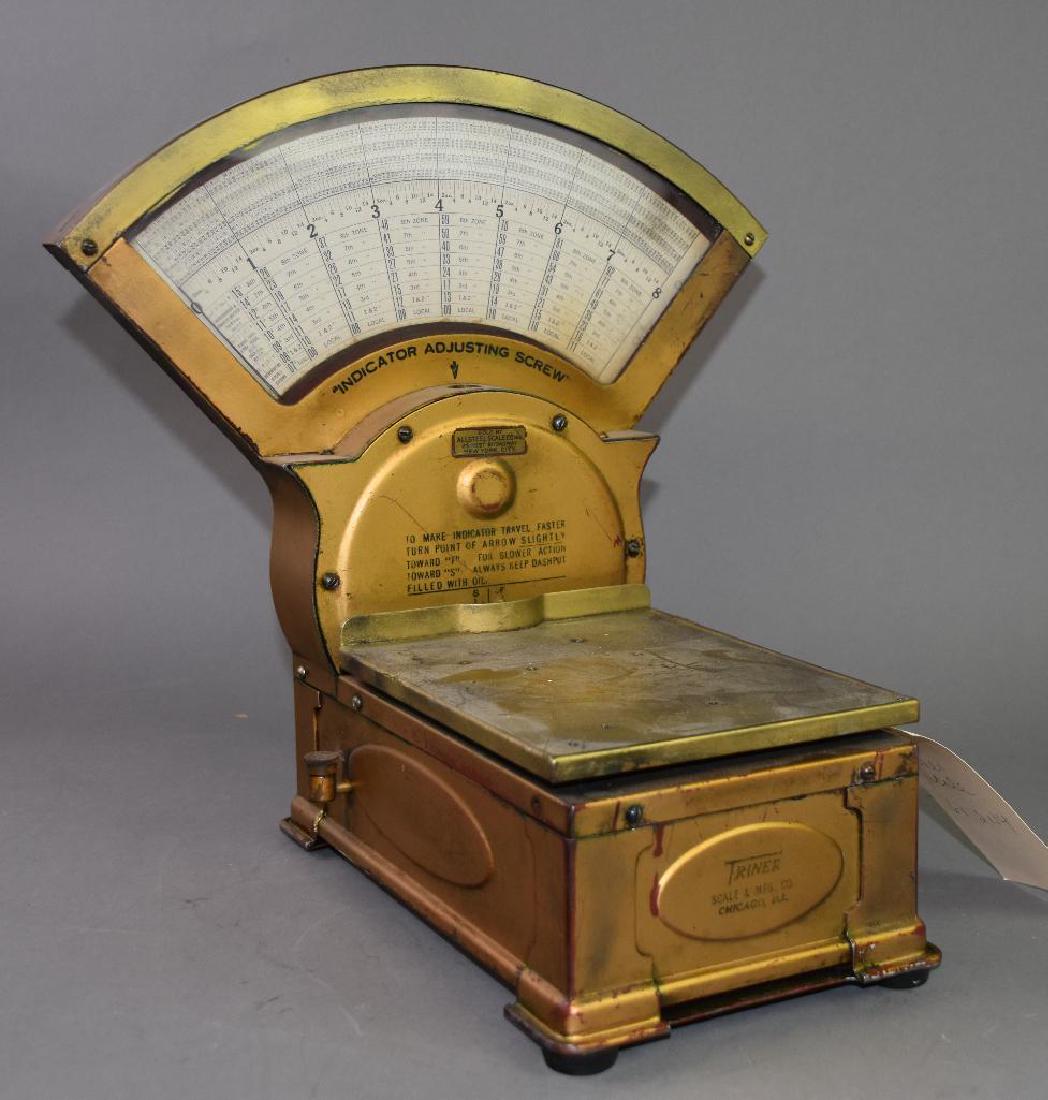 Triner Scale (1 of 5)