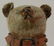 11" L. UNMARKED ANTIQUE MOHAIR BEAR ON WHEELED BASE. - 6