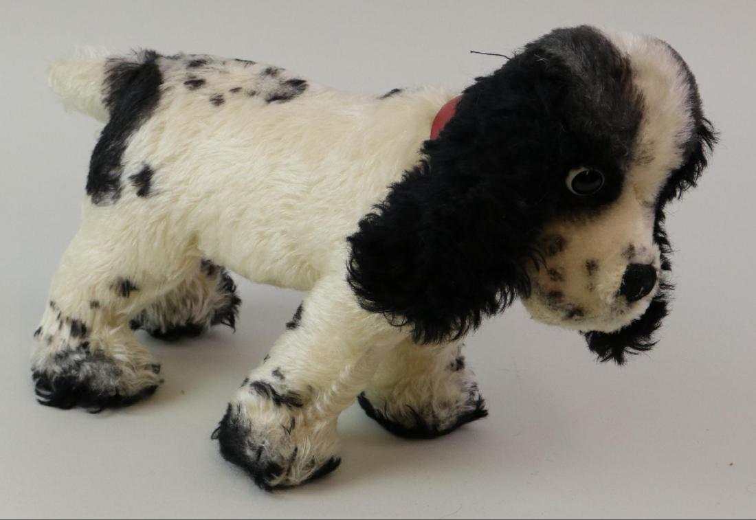 14" L. TAGGED VINTAGE STEIFF MOHAIR SPANIEL.: Black/white mohair Spaniel with black/white plastic eyes, swivel head. Red leatherette collar. Squeaker on underside in good working order. Silver incised button, yellow tag 4276.29. Condition: nothin