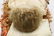 LOT OF PAPIER MACHE, WAX DOLLS. - 5