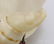 LOT OF PAPIER MACHE, WAX DOLLS. - 6
