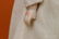 GERMAN BISQUE HEAD DOLL WITH TRUNK, WARDROBE. - 12