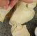 ANTIQUE GERMAN BISQUE HEAD DOLL. - 7