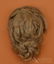 ANTIQUE FRENCH FASHION BISQUE HEAD DOLL. - 5