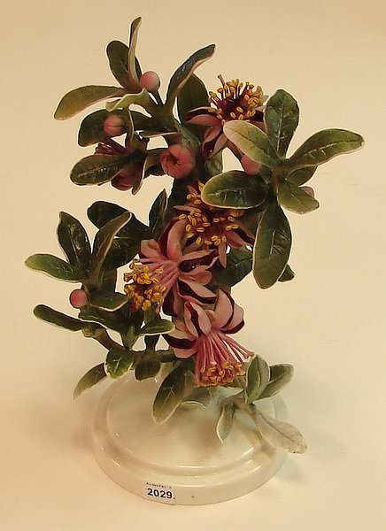 Dorothy Doughty Mexican Feijoa and Ladybird Hen