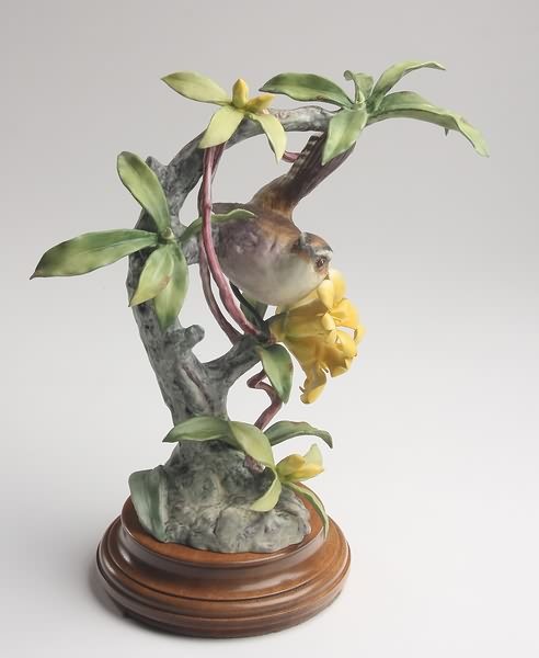 Dorothy Doughty Bewick Wren Hen and Yellow Jasmin