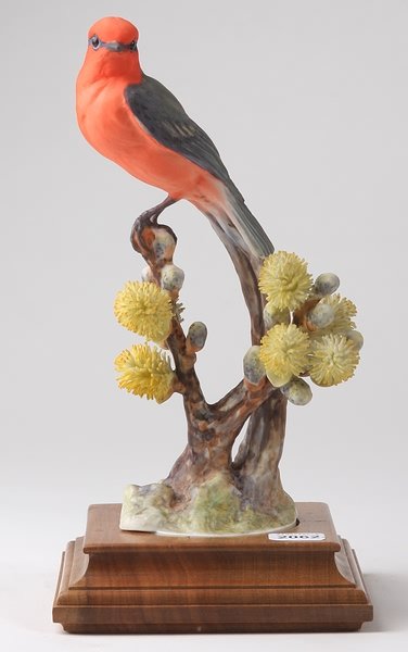 Dorothy Doughty Vermillion Flycatcher Cock and Pu