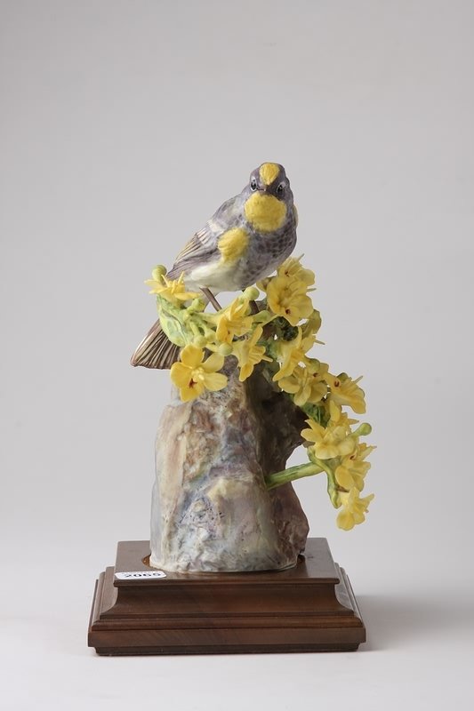 Dorothy Doughty Audubon's Warbler Hen and Palo Ve