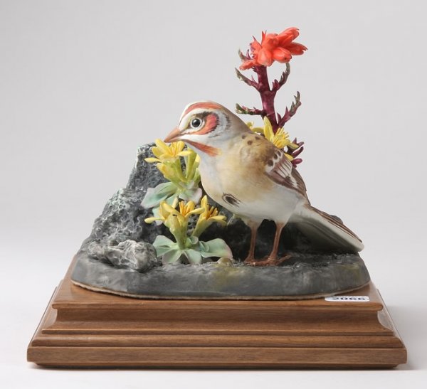 Dorothy Doughty Lark Sparrow with Twin Pod and Re