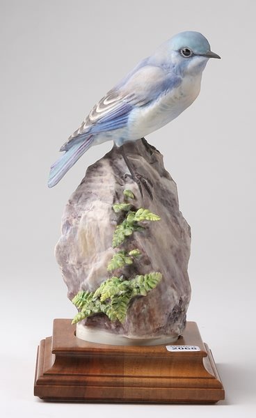 Dorothy Doughty Mountain Bluebird Hen and Spleenw