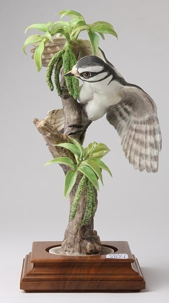 Dorothy Doughty Little Downey Woodpecker Cock and