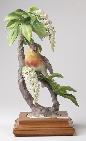 Dorothy Doughty Lazuli Bunting Hen and Choke Cher