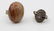 Assorted Jewelry and Accessories - 14