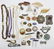 Assorted Jewelry and Accessories