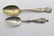 Sterling Silver Souvenir Spoons - 2