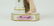 Meissen Porcelain Figurine - 5