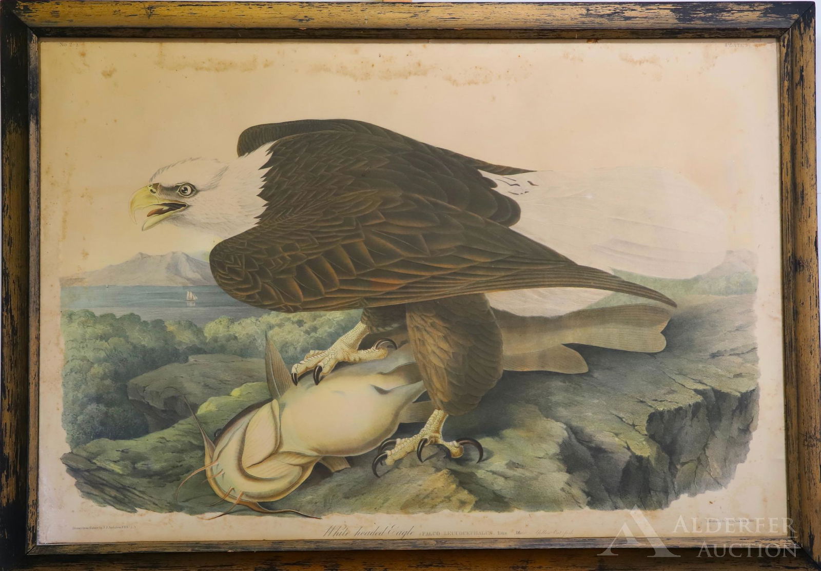 After John James Audubon (1785 - 1851) (1 of 10)