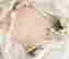 item-111786742=14