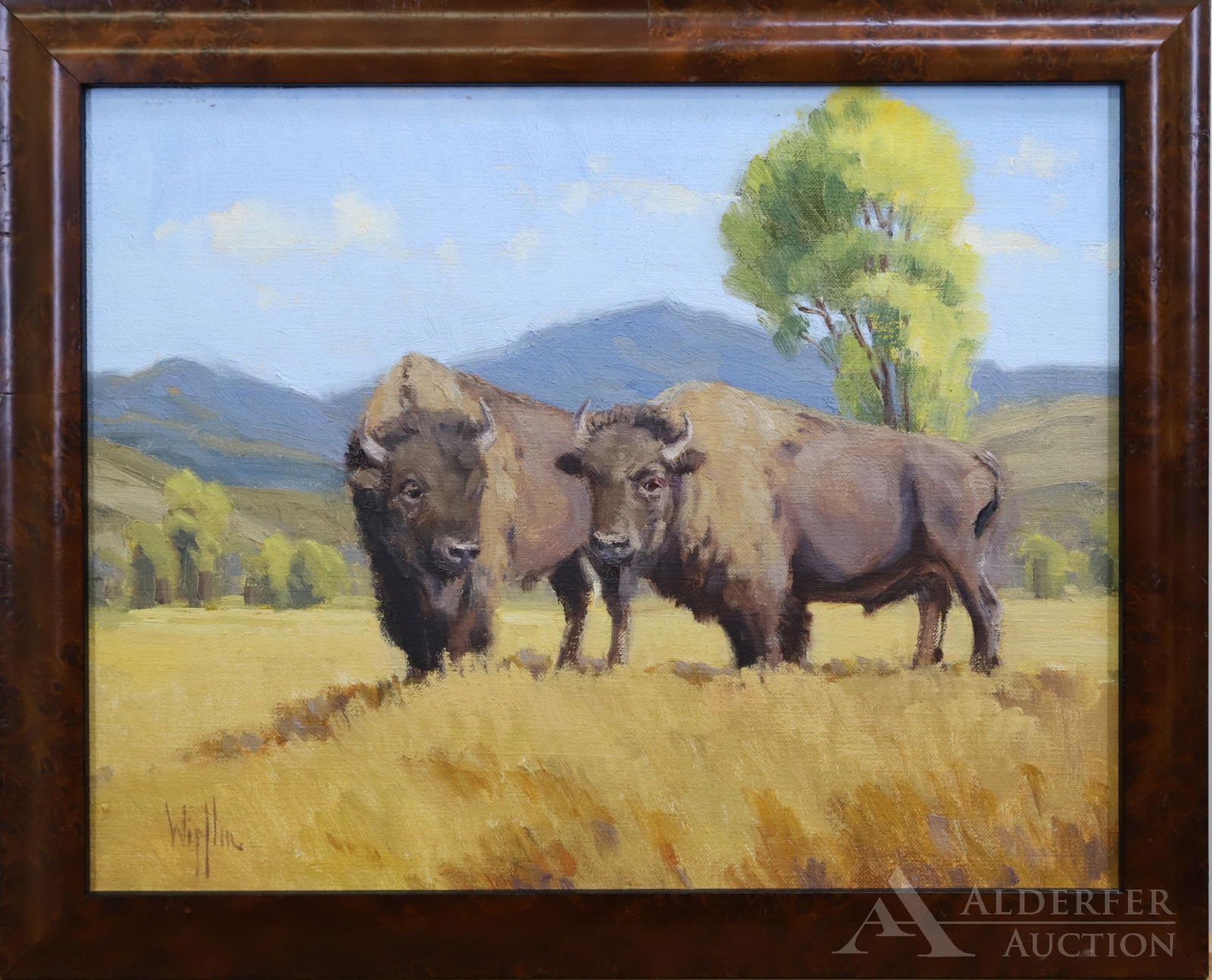 Katherine Wipfler (late 20th/early 21th century) (1 of 6)