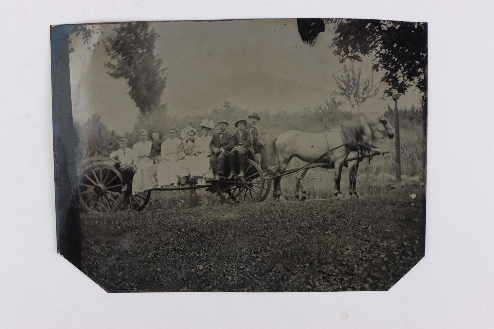 Tintype of Horse drawn Buckboard with Passengers (1 of 5)