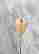 item-121031138=3