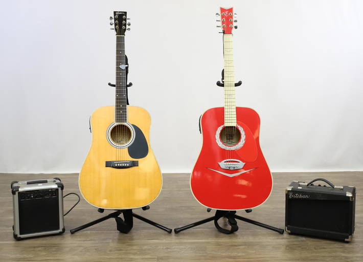 Esteban Guitars and Amps Feb 22, 2022 Alderfer Auction in PA