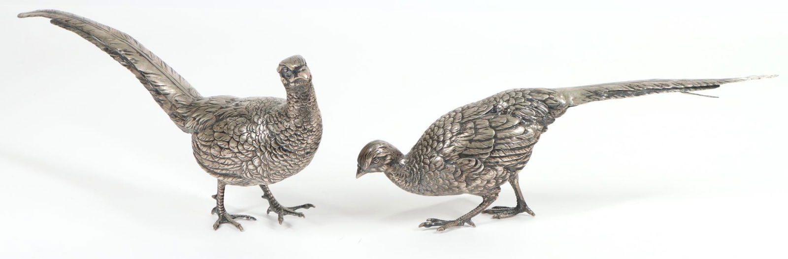 J. Kurz, Hanau Silver Pheasants (1 of 7)