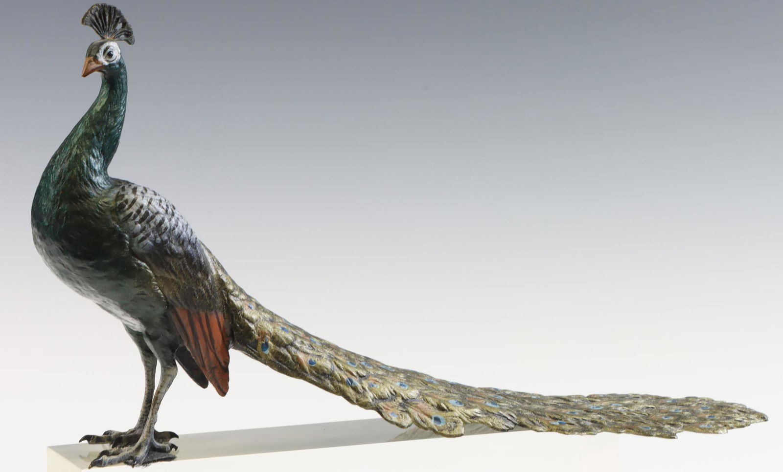 Franz Bergman Cold Painted Bronze Peacock (1 of 7)
