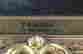 item-128737845=4