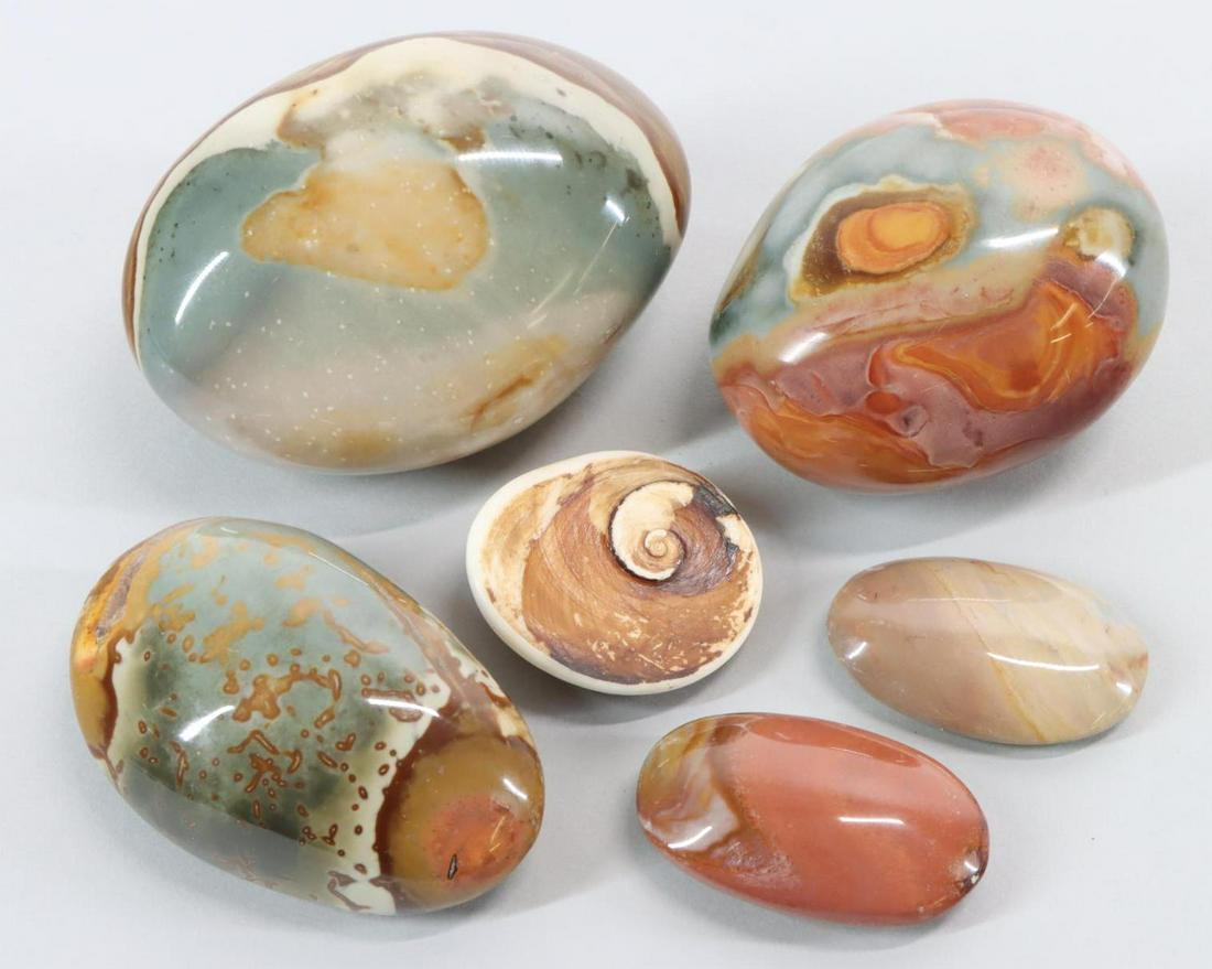 Sea Stone & Fossil Specimen: Polished sea stones (5) and fossil conch hear specimen.