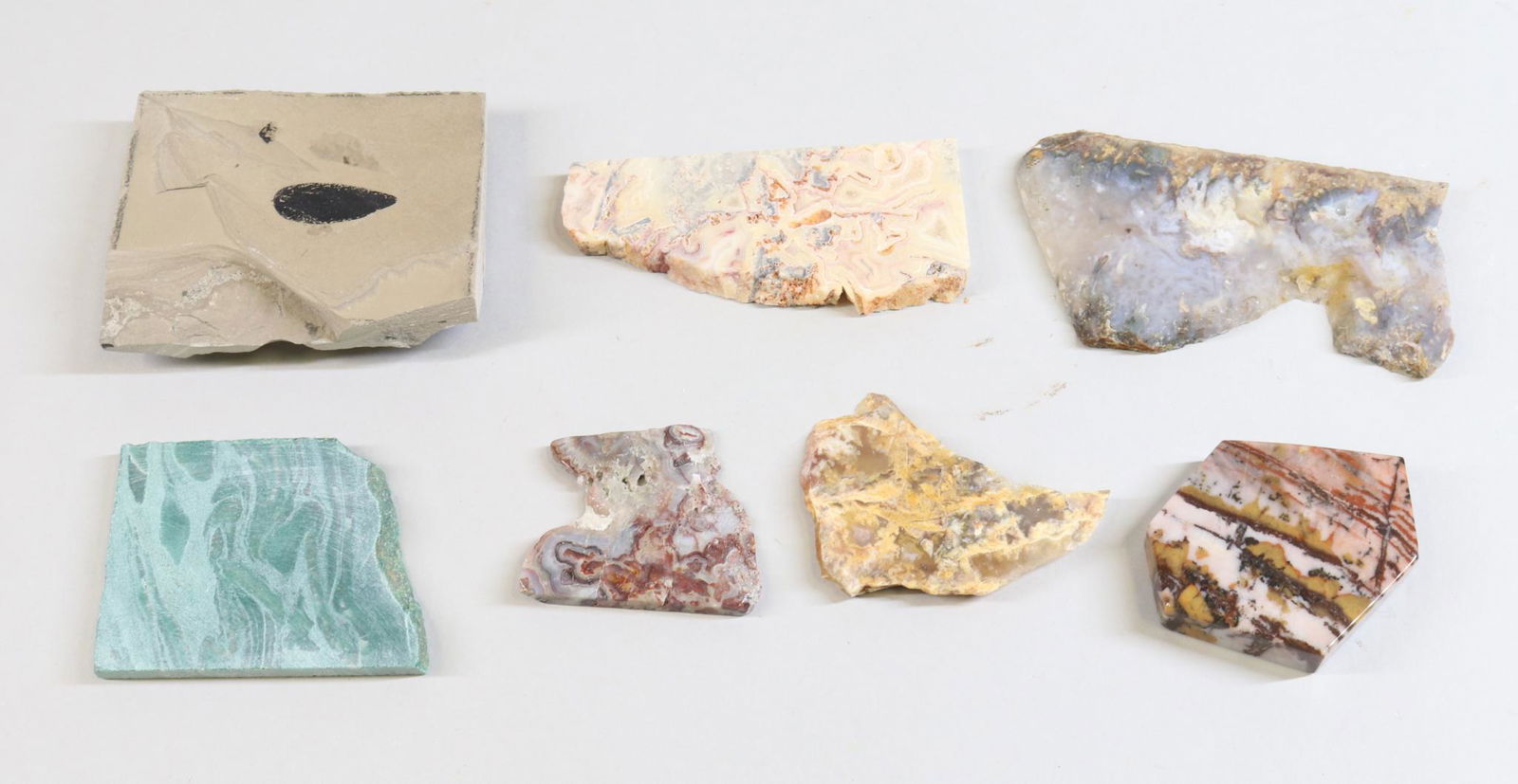 Agate, Jasper & Fossil Specimens (1 of 9)