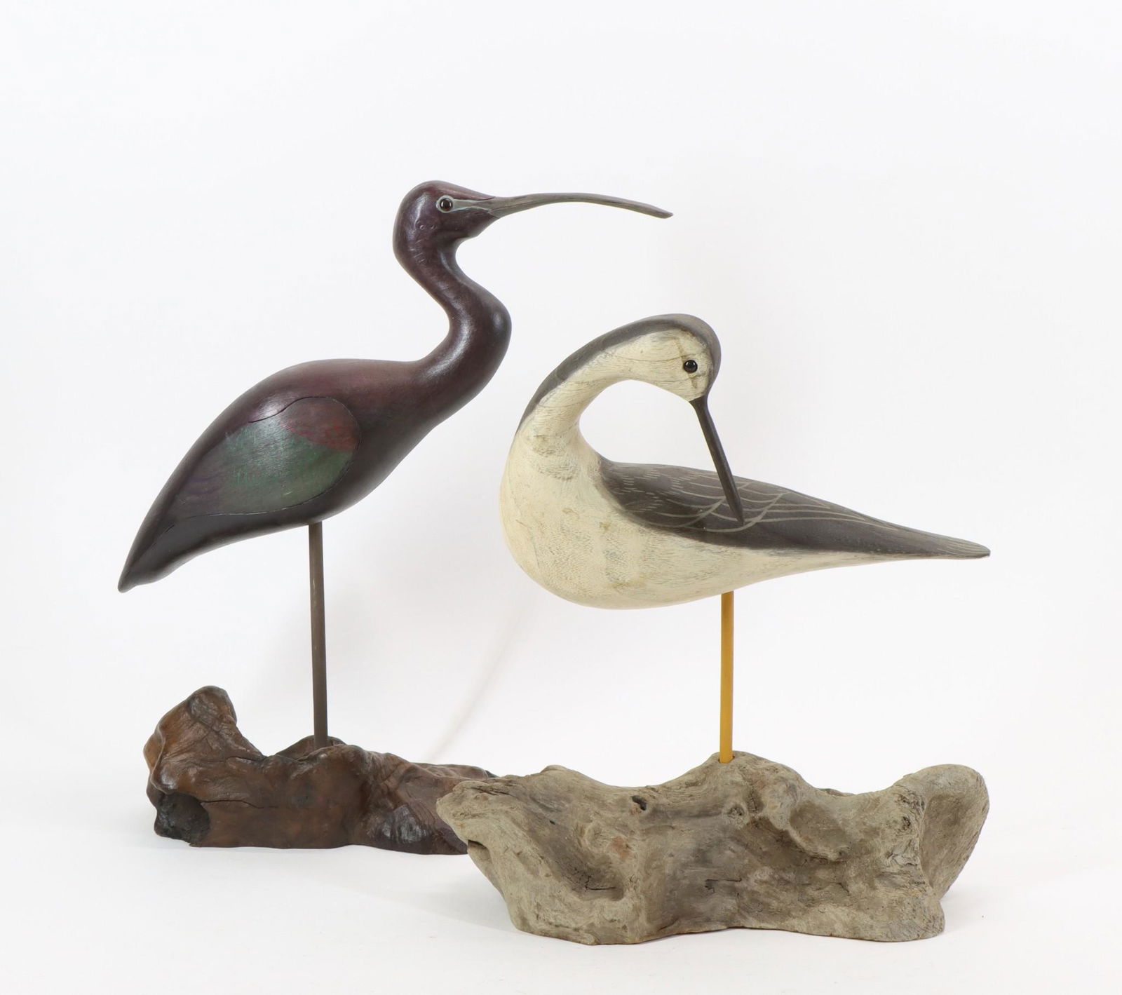 Shorebirds, Roe Terry and Corky Dize (1 of 7)