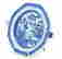 item-131811539=5