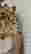 item-131811552=6