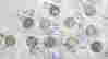 item-133277304=6