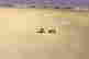 item-135972890=11