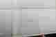 item-135978311=14