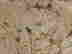item-135978438=18