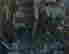 item-135978506=4