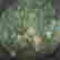 item-135978542=2