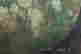item-135978542=4