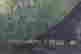 item-135978542=5