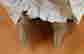 item-136154746=6