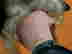 item-136154755=8
