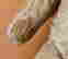 item-136164056=6