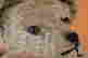 item-136164056=7