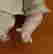 item-136164068=7