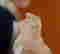 item-136164073=13