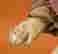 item-136164154=5